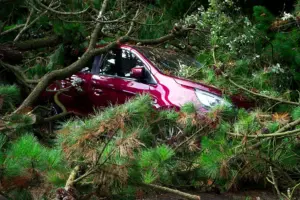 Červené auto uvězněné pod spadenými stromy, ukazující následky bouře.