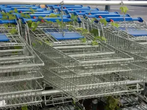 nakupování, vozík, supermarket, příroda, rostlin, rostoucí, zámek dolů